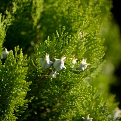 _DSC0674_2700x1802_1280x854_800x534